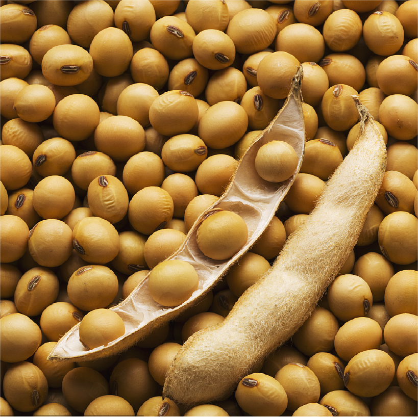 大豆ミート100gに含まれるたんぱく質はどれくらい？