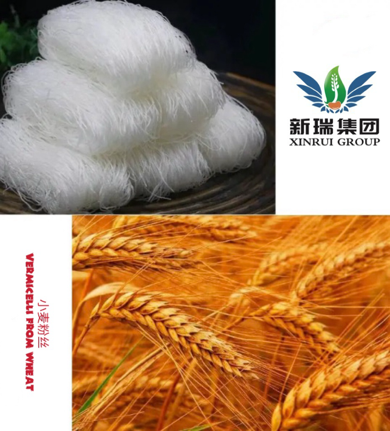 春雨シルクヌードル 