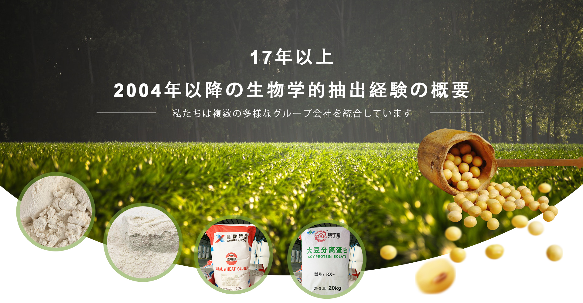 RI山东嘉华油脂有限公司banner(1)