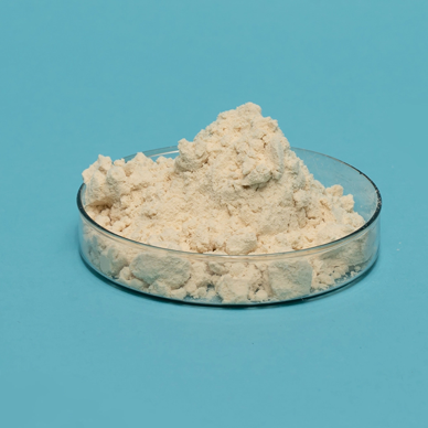 大豆タンパク質は肉の質感をどのように改善しますか？